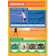 Coordination Poster