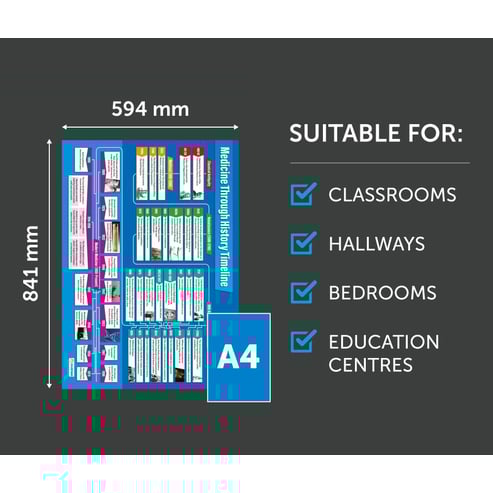 Medicine Through History Timeline Poster