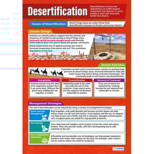 Human Environmental Impact Posters - Set of 4