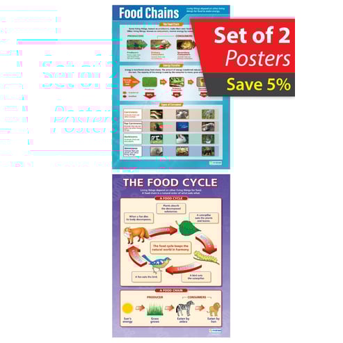 Food Chains / The Food Cycle Posters- Set of 2