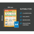 Enzymes Poster