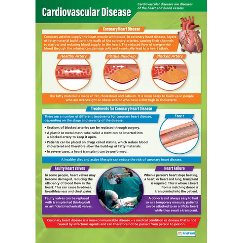 Cardiovascular Disease Poster