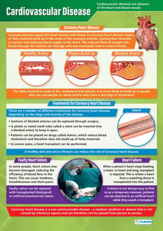 Cardiovascular Disease Poster