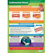 Cardiovascular Disease Poster