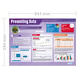 Presenting Data Poster