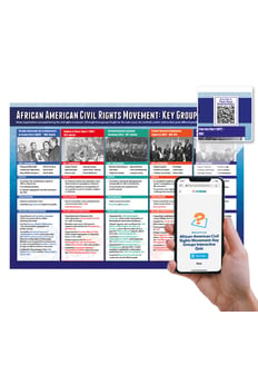 African American Civil Rights: Key Groups Poster