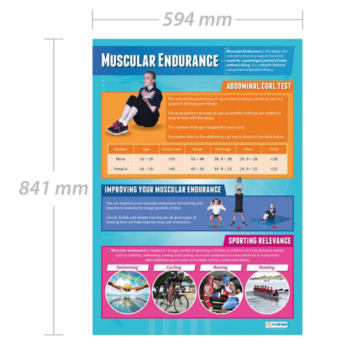 Muscular Endurance Poster