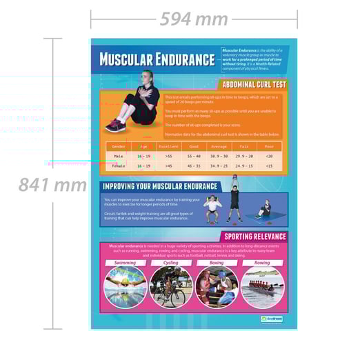 Muscular Endurance Poster