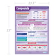 Compounds Poster