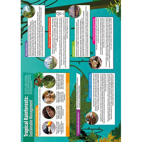 Tropical Rainforests: Sustainable Management Poster