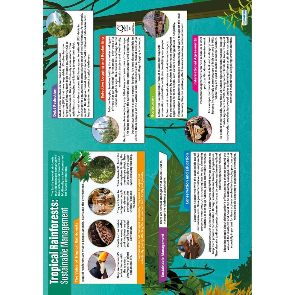 Tropical Rainforests: Sustainable Management Poster - Daydream Education