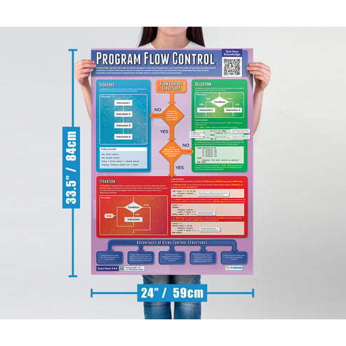 Program Flow Control Poster