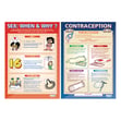 Puberty and Sex Posters - Set of 8 