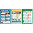 Writing, Directing and Designing Posters - Set of 9 
