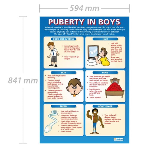 Puberty in Boys Poster