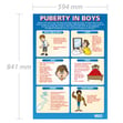 Puberty in Boys Poster