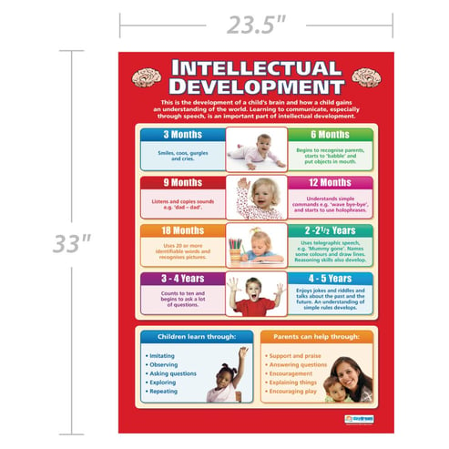 Intellectual Development Poster