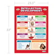 Intellectual Development Poster