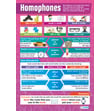 Homophones Poster