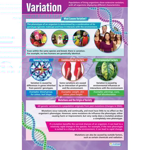 Variation Poster