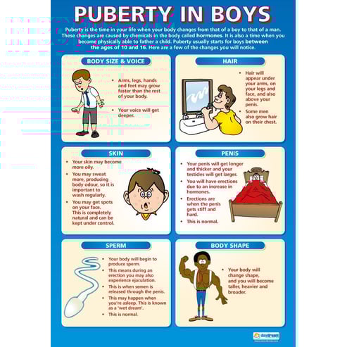 Puberty in Boys Poster