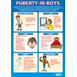 Puberty in Boys Poster