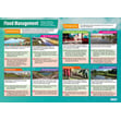 Flooding Posters - Set of 2