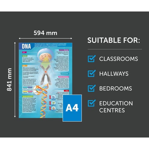 DNA Poster