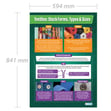 Textiles: Stock Forms, Types & Sizes Poster