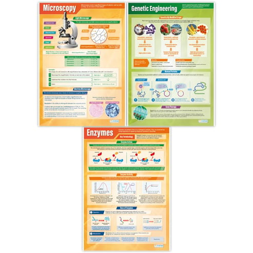 Biology Posters - Set of 13 