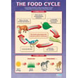 The Food Cycle Poster