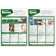 First Aid Posters - Set of 5 