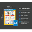 Separating Mixtures Poster