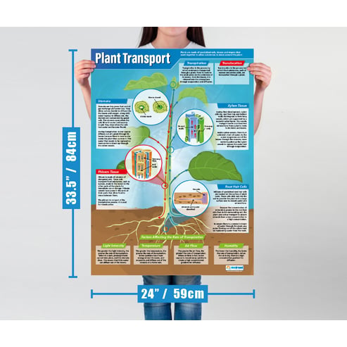 Poster Pack - Mix and Match – California Native Plant Society