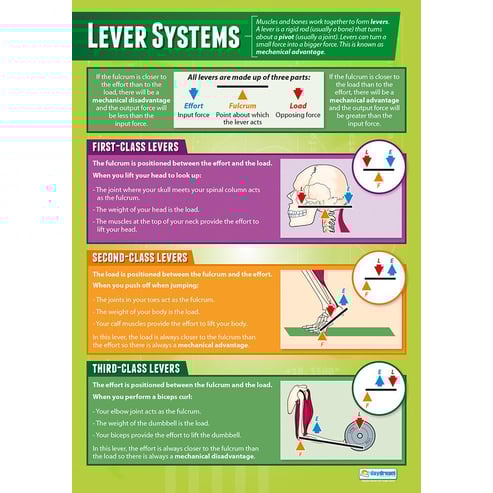 Movement Analysis Posters - Set of 2