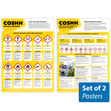 COSHH Health & Safety Posters - Set of 2
