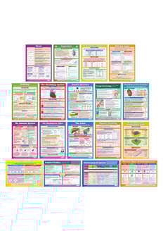 Science A-Level Posters - Set of 18