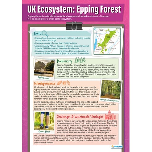 Ecosystems Example: Epping Forest Poster
