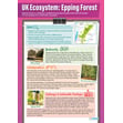 Ecosystems Example: Epping Forest Poster