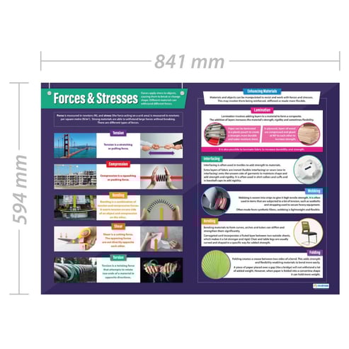 Forces & Stresses Poster