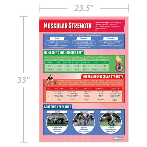 Muscular Strength Poster