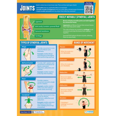 Joints Poster