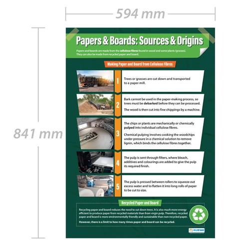 Papers & Boards: Sources & Origins Poster