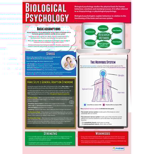 Biological Psychology Poster