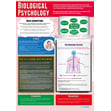 Biological Psychology Poster