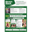 Electric Shock First Aid Procedures poster