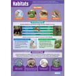 Animals & Habitats Posters - Set of 3