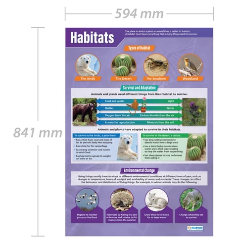Habitats Poster