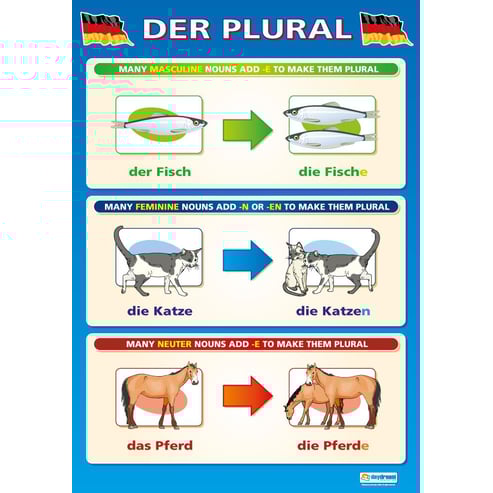 Der Plural Poster