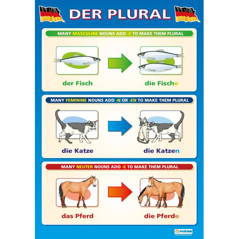 Der Plural Poster